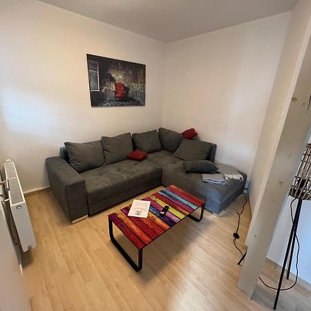Apartment Napoleon, Naehe Zentrum, 2 Schlafzimmer, Grosser Balkon, Free Wifi ,Parken Jena Exterior foto